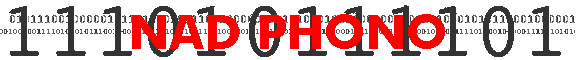 NAD PHONO
