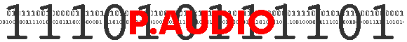 P.AUDIO