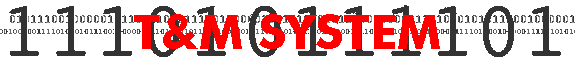T&M SYSTEM
