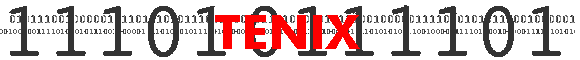 TENIX